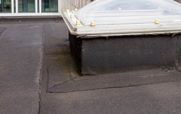 disadvantages of Tynreithin flat roofs