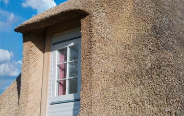 Tynreithin thatch roof disadvantages