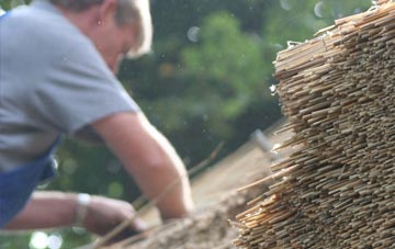 professional Tynreithin thatchers